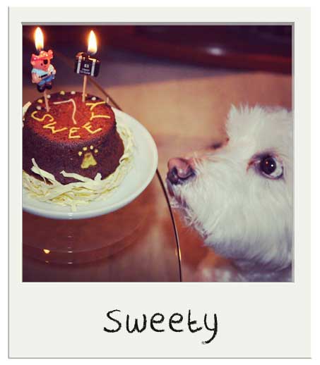Sweety avec son gâteau d'anniversaire
